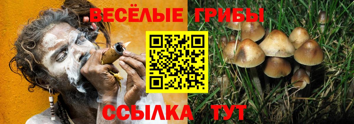 Псилоцибиновые грибы прущие грибы Красноармейск