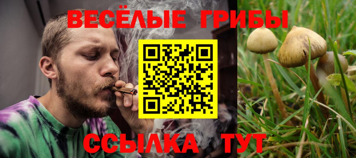 купить   Вход с VPN  Красноармейск  Галлюциногенные грибы Magic Shrooms 